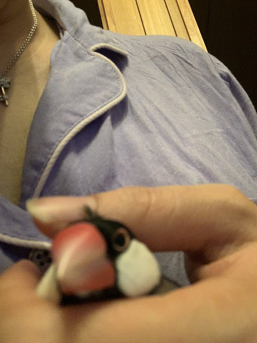 甘えん坊🐧💕💕💕💕💕