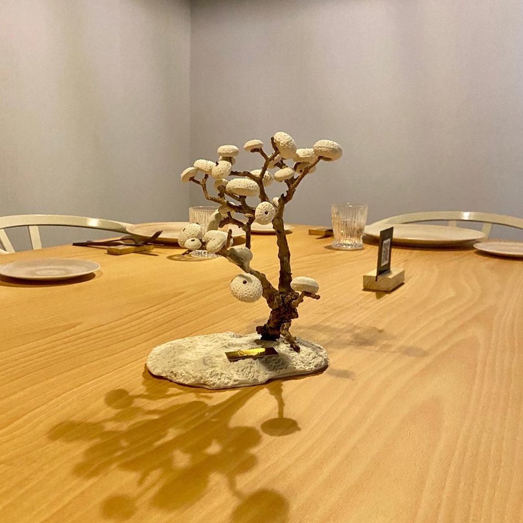 Bonsais con erizos de mar 🐚, las nuevas esculturas de Docavo Ocean Art que presidirán nuestras mesas de #GranAzul 😍
⠀⠀⠀⠀⠀⠀⠀⠀⠀
#restaurant #art #valencia #bibgourmand #michelin #gastronomia