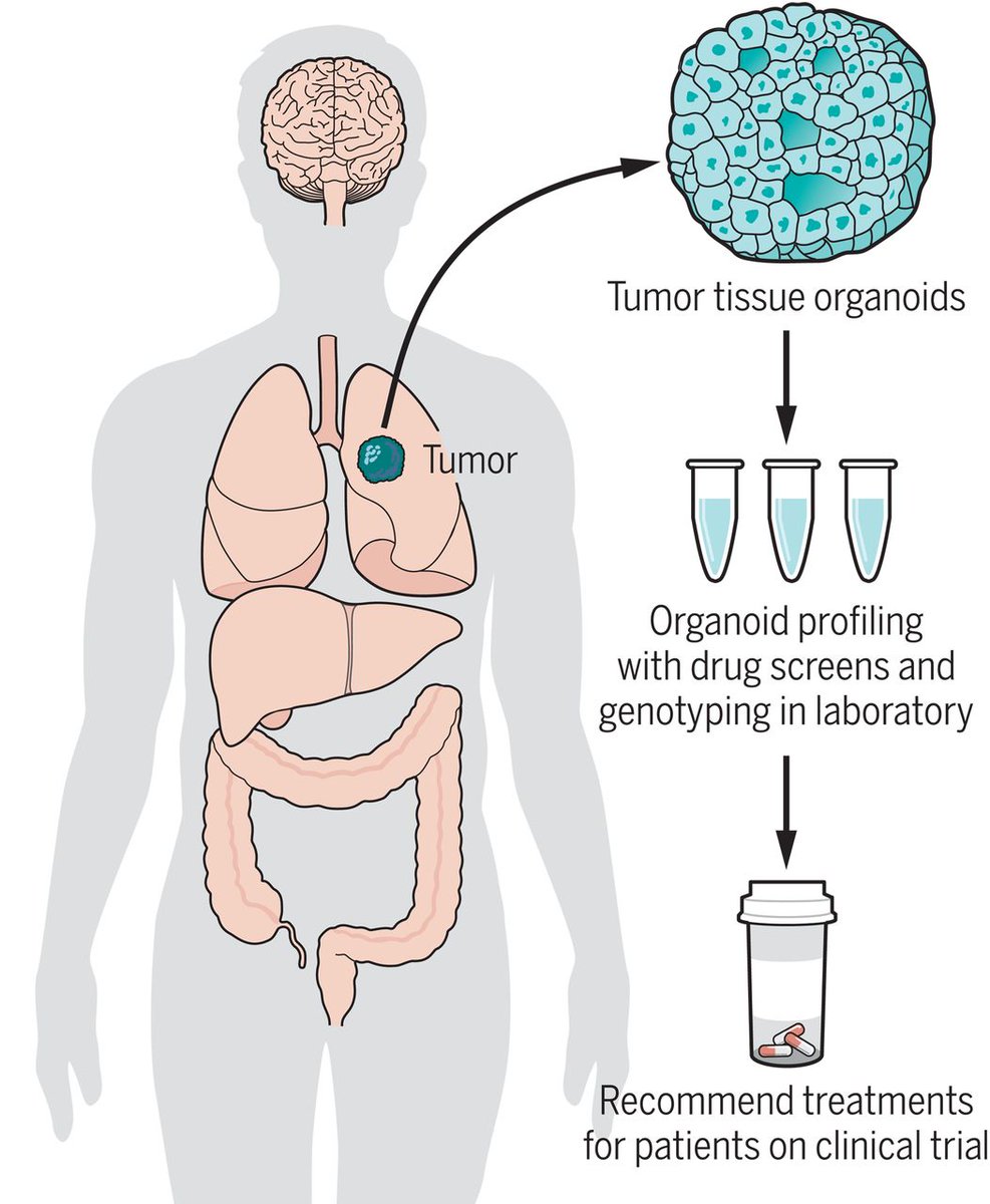Biomedical_D tweet picture