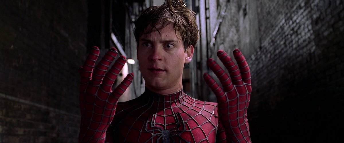 En bref, Spider-Man 2 cristallise tout le cinéma de Raimi pour une œuvre sincère, un blockbuster d'auteur. Merci M. Raimi pour ce film et cette trilogie à la fois humaine et spectaculaire ! (PS : saluons aussi Danny Elfman et sa musique juste grandiose)