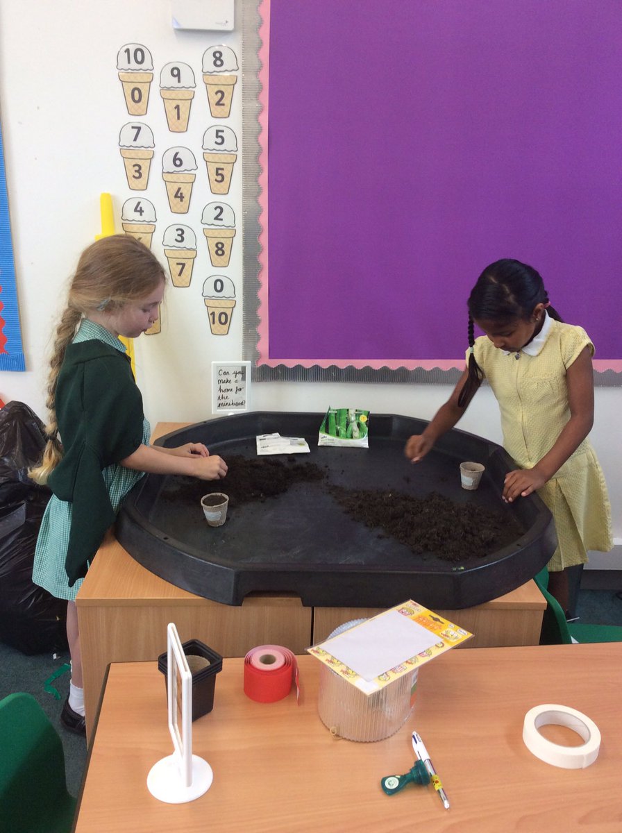 WrensMPS's tweet photo. We chose either a broad bean or a climbing bean to plant this afternoon and take home with us 🌱🌱 https://t.co/veWmYO7DHe