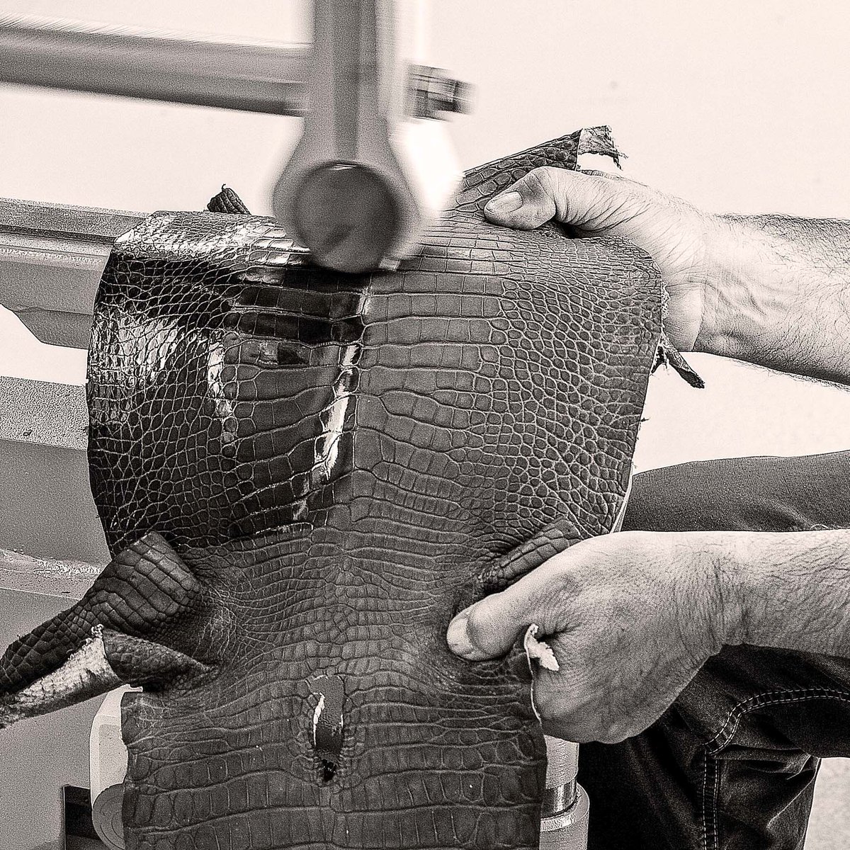 damishoes's tweet photo. Le collezioni Dami sono interamente realizzate in Toscana, secondo gli antichi criteri della calzatura artigianale.
Dami collections are entirely made in tuscany, according to the ancient criteria of shoe handmade craftsmanship.
https://t.co/iXvBzsZb5D https://t.co/5ljP98ynj9