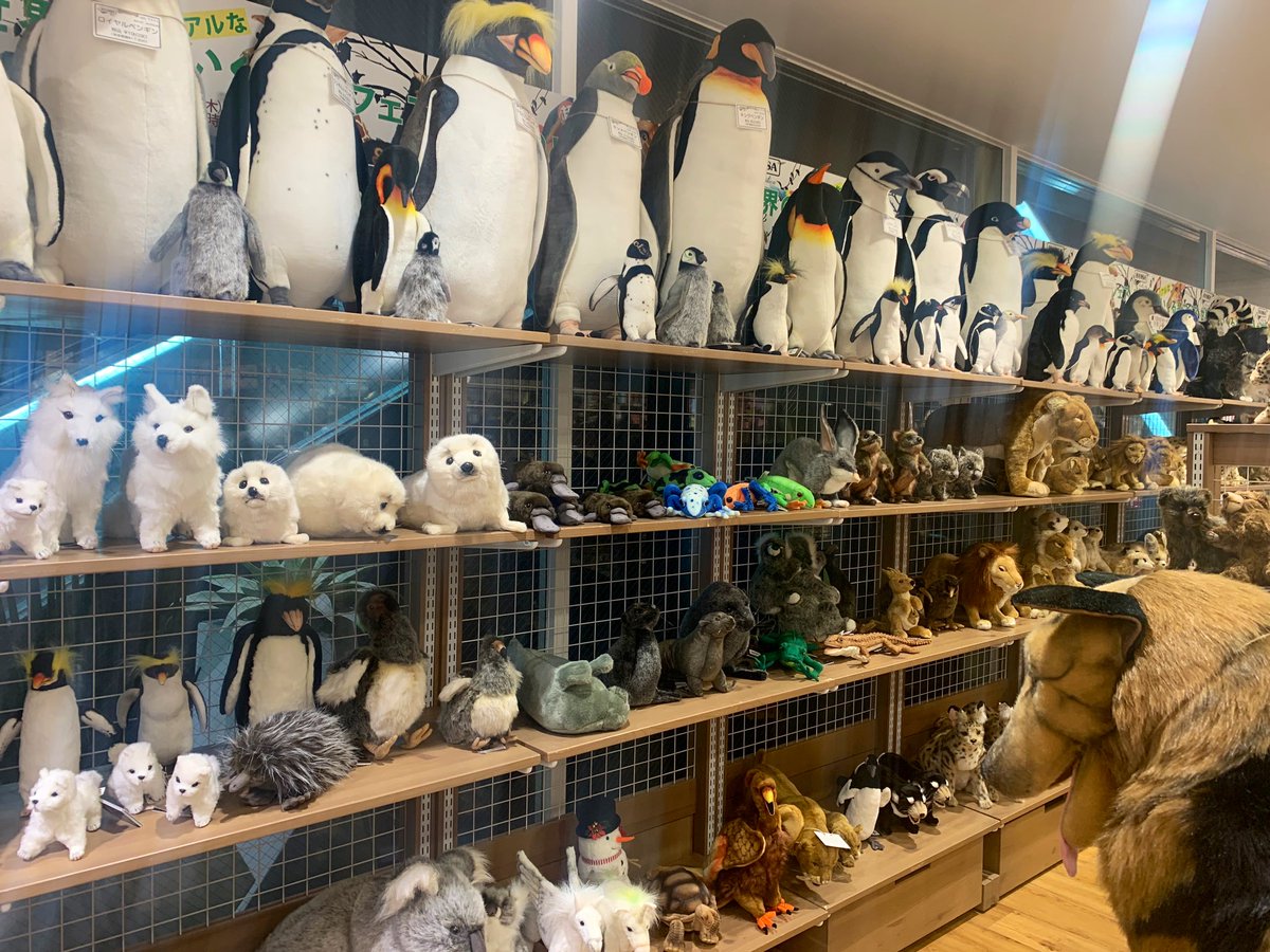 かわかつ Kawakatsu Tokushige 池袋西武の 世界のぬいぐるみフェア 死ぬほど可愛い 天国 みんな行って欲しい ここに住みたい 三省堂書店地下一階