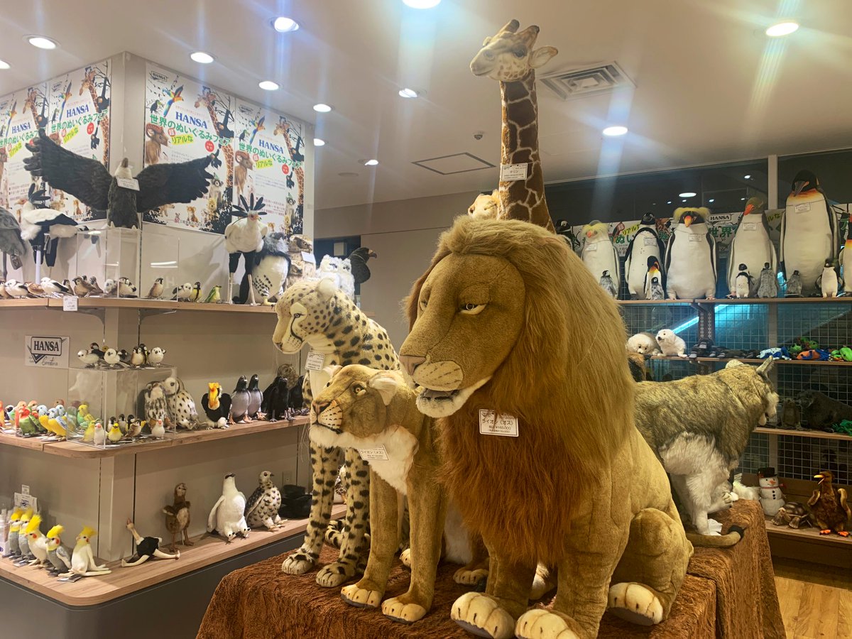 かわかつ Kawakatsu Tokushige 池袋西武の 世界のぬいぐるみフェア 死ぬほど可愛い 天国 みんな行って欲しい ここに住みたい 三省堂書店地下一階