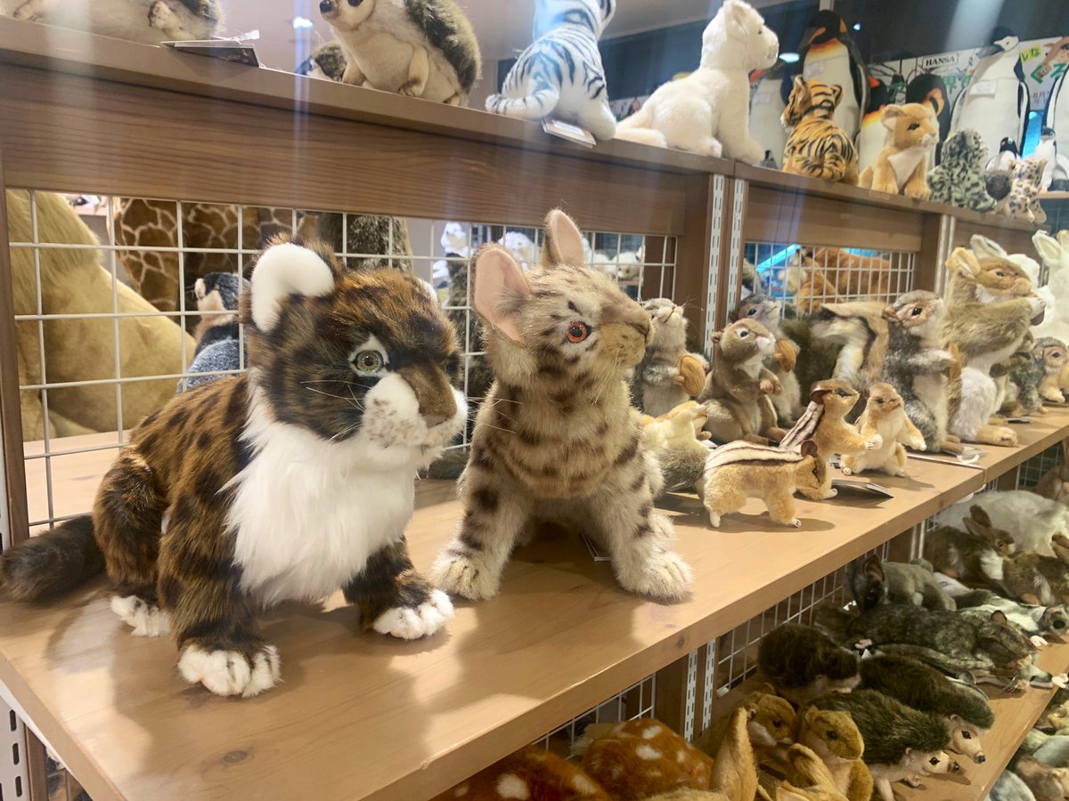 かわかつ Kawakatsu Tokushige 池袋西武の 世界のぬいぐるみフェア 死ぬほど可愛い 天国 みんな行って欲しい ここに住みたい 三省堂書店地下一階