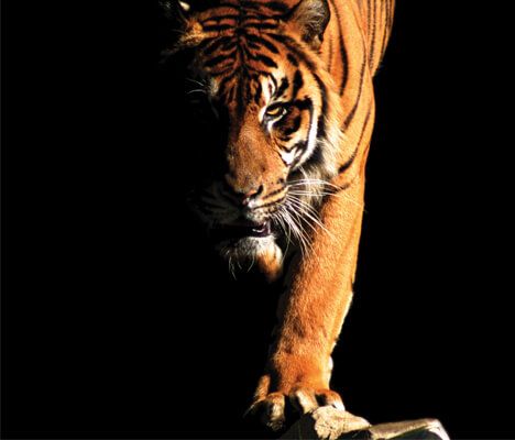 ShefEngEmploy's tweet image. Will you be applying for Placements in 2020/21, Register Your Interest with companies NOW through @RateMyPlacement  &amp;amp; @gradcracker - buff.ly/2EplQtz buff.ly/3gJ8d7x