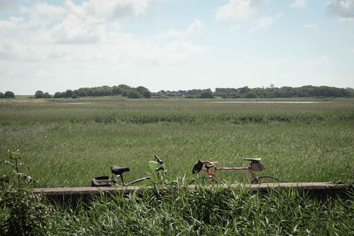 SnapeMaltings's tweet photo. A perfect day for a bicycle ride...
With some of the finest views over the Suffolk countryside, the Concert Hall Cafe is open from 10 am every day to help keep you hydrated and refueled.
#snapemaltings #snape #snapestyle #suffolk #shoplocal #concerthallcafe https://t.co/c4hZ4lbs9R