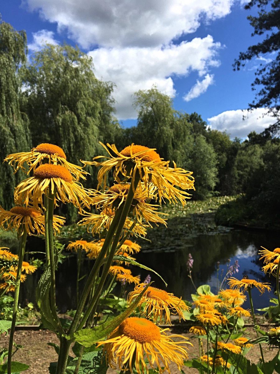 BealePark's tweet photo. We opened at 10am. The gardens are in full bloom. #beautifulgardens #bealepark #oasisofcalm https://t.co/HhnnUiVuez