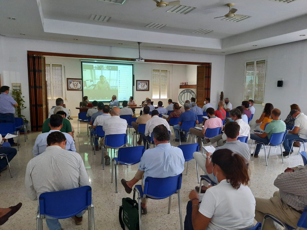 LideaEsp's tweet photo. #GIRASOL🌻
.
🆕📲Hoy estamos en la jornada sobre el #cultivo de #girasol organizada por @IfapaJunta donde se han presentado los resultados de los #ensayos del #RAEA, junto con interesantes ponencias sobre #innovación y perspectivas de #futuro del #cultivo del #girasol. https://t.co/I7iQ9N9zqh