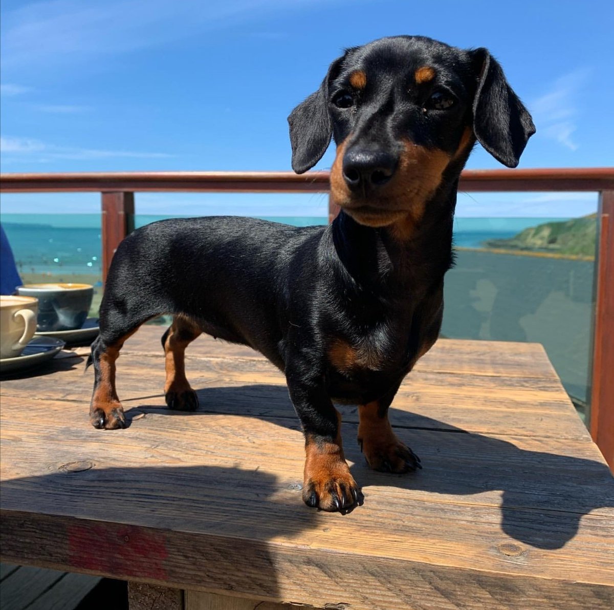 Beachside Grill tweet media