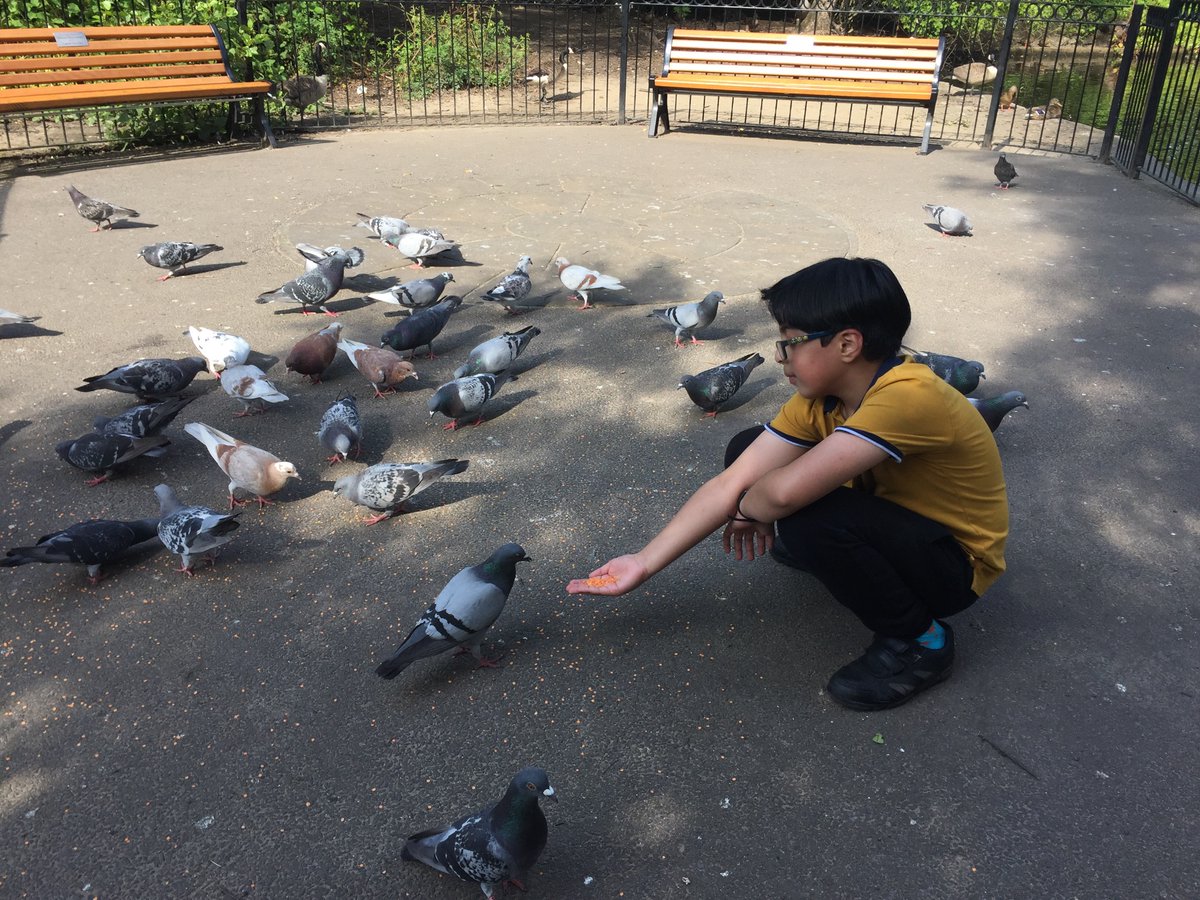 dranwarsaima's tweet photo. Another positivity challenge! Feeding pigeons makes Riyan very happy.
 #LearnWithOak
@LukePrimary 
@missl_cleasby 
#ONAY3ENG 
@OakNational https://t.co/ZTLy04zZTT