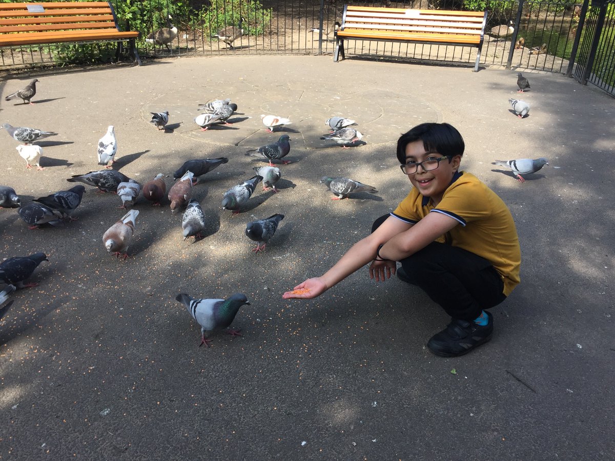 dranwarsaima's tweet photo. Another positivity challenge! Feeding pigeons makes Riyan very happy.
 #LearnWithOak
@LukePrimary 
@missl_cleasby 
#ONAY3ENG 
@OakNational https://t.co/ZTLy04zZTT