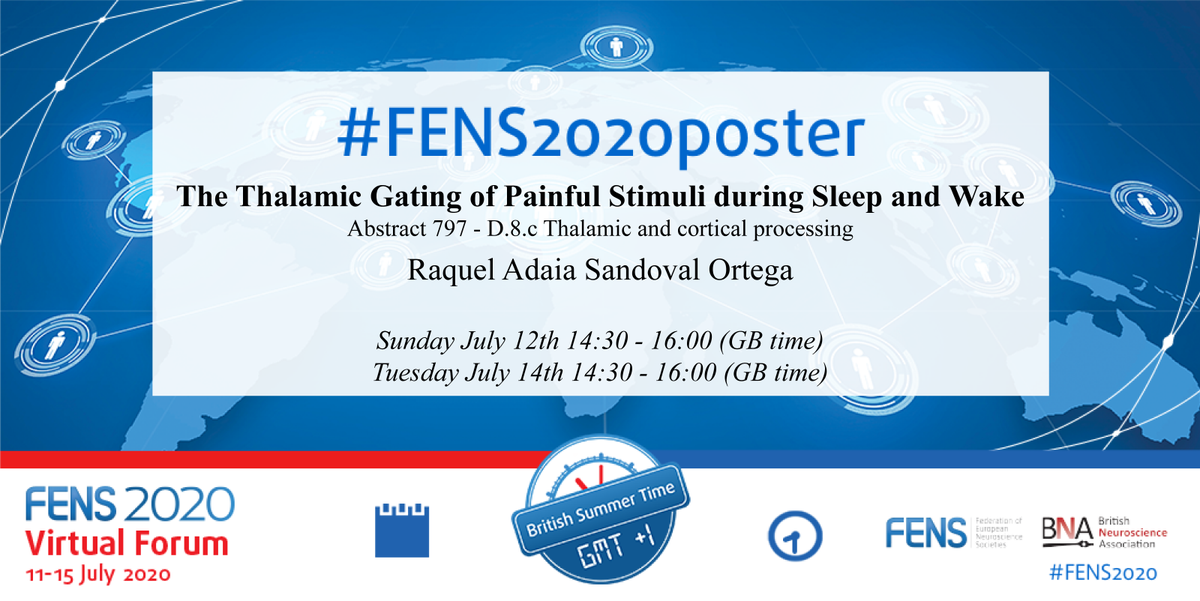 adaiasand's tweet photo. I'm back to my #FENS2020poster today at 2:30pm! Come around to talk about #SleepandPain, #SensoryPerception or maybe just a friendly chat about #phdlife! Looking forward to talk to you! @FENSorg @BritishNeuro https://t.co/cOxmy8PVPN