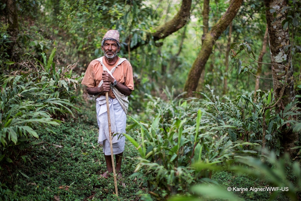 IIED's tweet photo. BLOG: New research finds that when granted local control, Indigenous peoples &amp; local communities (IPLCs) &amp; smallholder forest users protect forests better than many other forms of forest stewardship --> https://t.co/MvwW4c4ttP #Connect2Forests #CommunityForestManagement https://t.co/wI6KW57iSD
