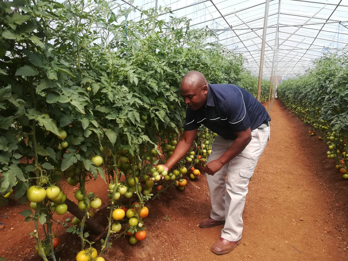 Silas Mutota tweet media