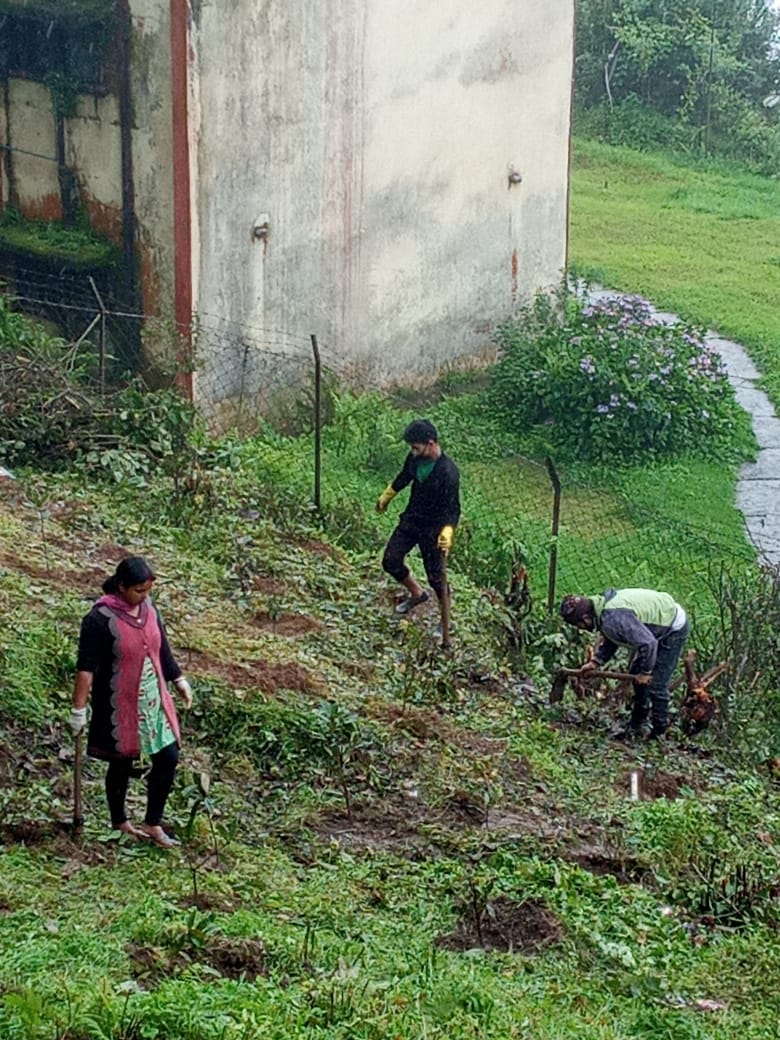 CEOJALAPAHAR's tweet photo. 3000 #Rhododendron &amp; 650 #Azalea saplings planted as Environment Week was observed in collaboration with WWF. Follow up of 2 years for survival rate >90%. #TimeForNature #Environment #Darjeeling #Himalayas #ProjectLaaliGurans @sonamley @pddeec @UNEP @WWFINDIA @moefcc @UNFCCC https://t.co/UDuNPBaPII