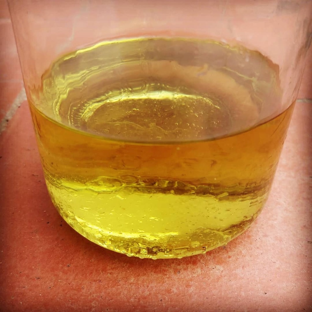 Druida41934908's tweet photo. #oliessencial de #orenga 🌿🌿 #oleolat #alchemist #alquimia #wicca #pagan #herbes #olisessencials #essentialsoils #apothecary #potions #magical #medecine #herbesmedicinals #druidaemporda #herbesremeieres #cosmeticanatural #emporda https://t.co/ap2fTDgNZ4 https://t.co/hvdCC6S2hH