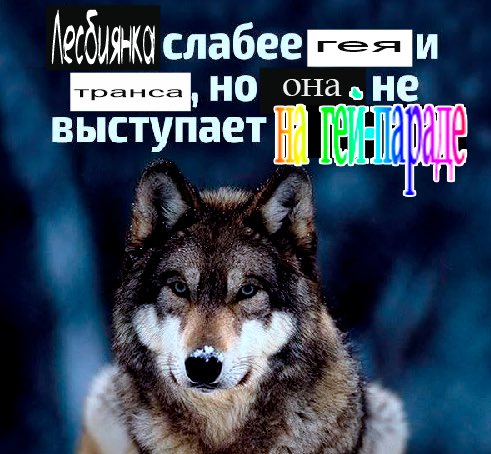 Қырылмаған киска онлайн порно