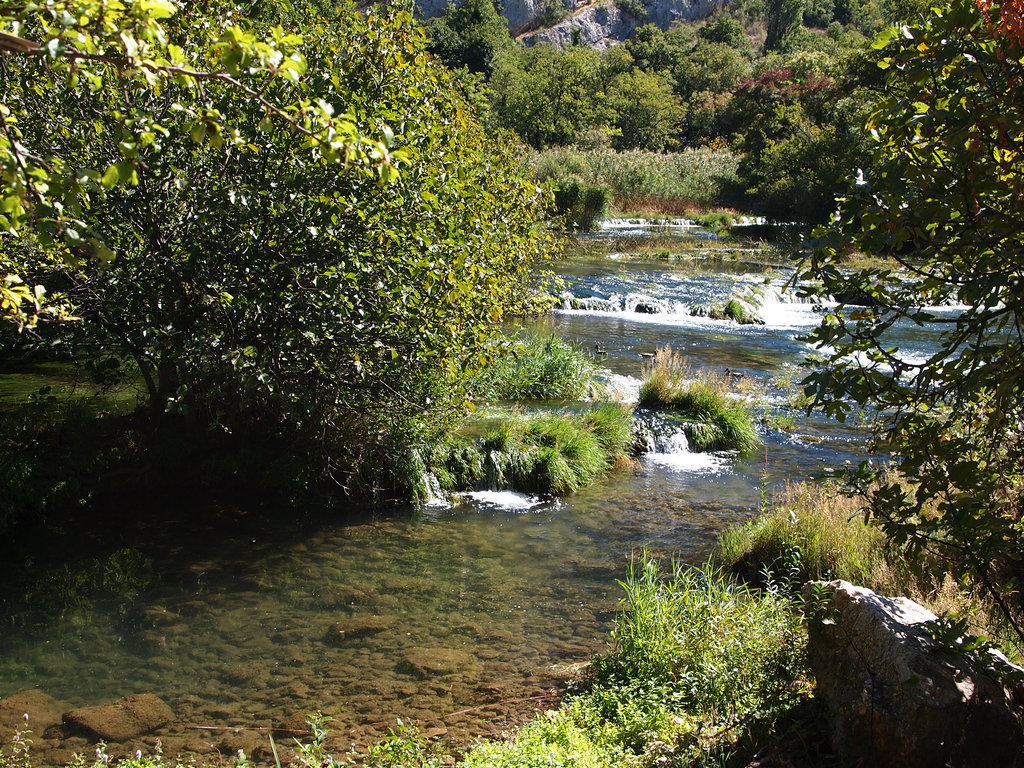 Adiona_travel's tweet photo. #KrkaWaterfalls is a beautiful place in #Croatia. The serene beauty rivaling the most beautiful nature parks in the world :)

#Travel #Tours #CroatiaSplit #Split #KrkaFromSplit #Krka #SplitTours #CroatiaFullOfLife #TravellingCroatia #ToursFromSplit https://t.co/Y7w3Q4ABji
