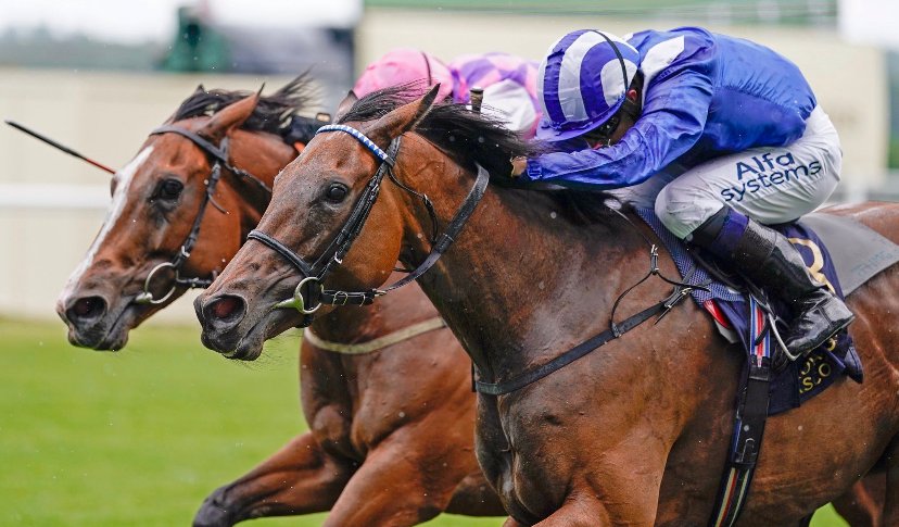 IrishNatStud's tweet photo. Another Stakes Double for Invincible Spirit at the weekend
#Nazeef 👑💚
#MakeAChallenge 👑☘️
https://t.co/XvOOrTBEzI
https://t.co/KuIKziXuIe
📸 @patcashhealy @Goodwood_Races https://t.co/lMEZUv9vPb