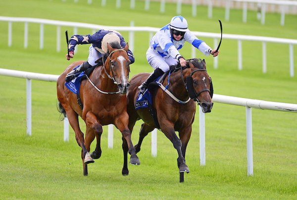 IrishNatStud's tweet photo. Another Stakes Double for Invincible Spirit at the weekend
#Nazeef 👑💚
#MakeAChallenge 👑☘️
https://t.co/XvOOrTBEzI
https://t.co/KuIKziXuIe
📸 @patcashhealy @Goodwood_Races https://t.co/lMEZUv9vPb