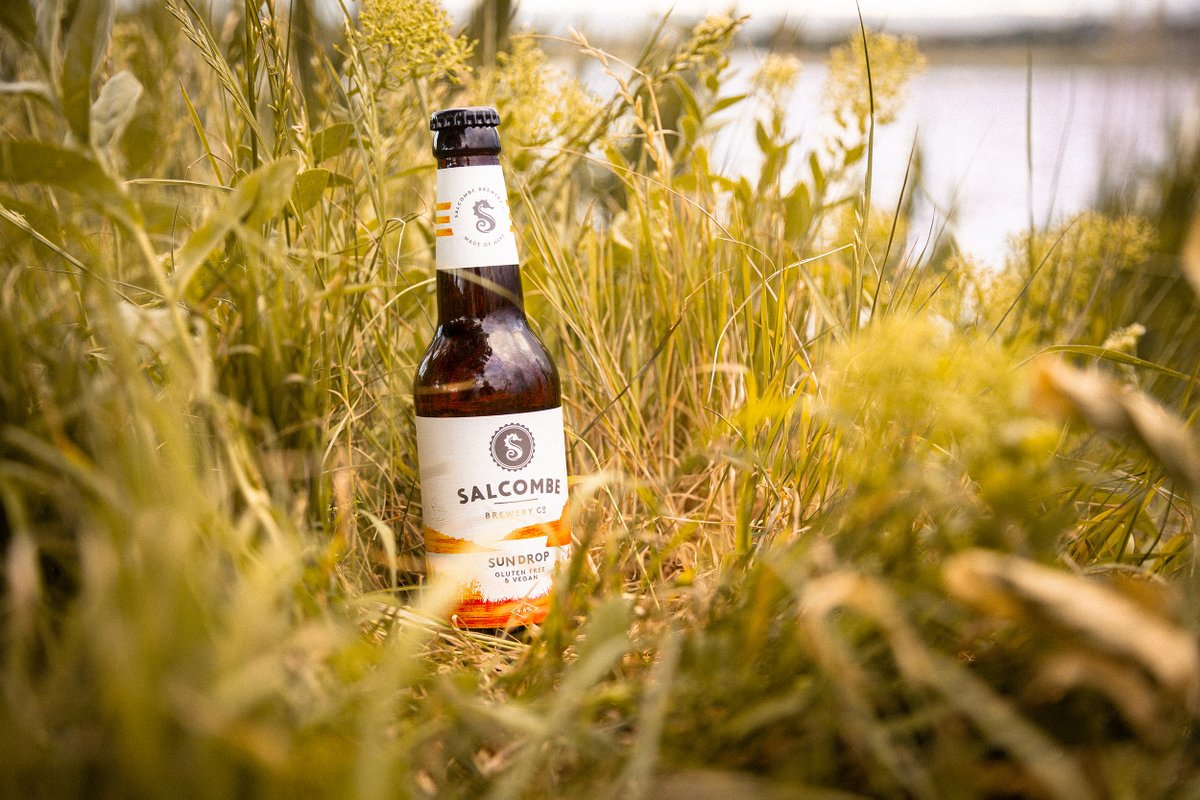 SalcombeBrewery's tweet photo. Have you tried our new vegan, gluten-free beer Sun Drop yet? The perfect thirst quencher. #madeofhere https://t.co/ZdihfOoyMR https://t.co/iokZneXnbo