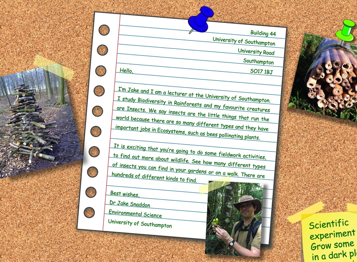 UoS Schools & Colleges tweet media