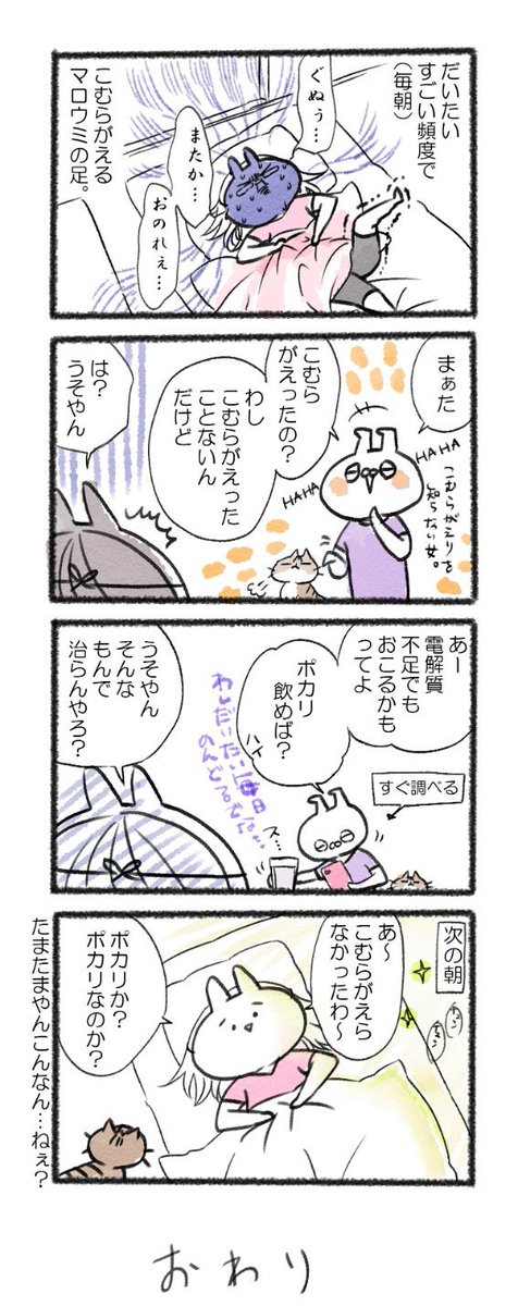 いや、ほんとなんで毎朝こむらがえってるのわかんない?
#るーさん #るー3 #日常 #日記 #4コマ漫画 https://t.co/okLCJYmJTC 