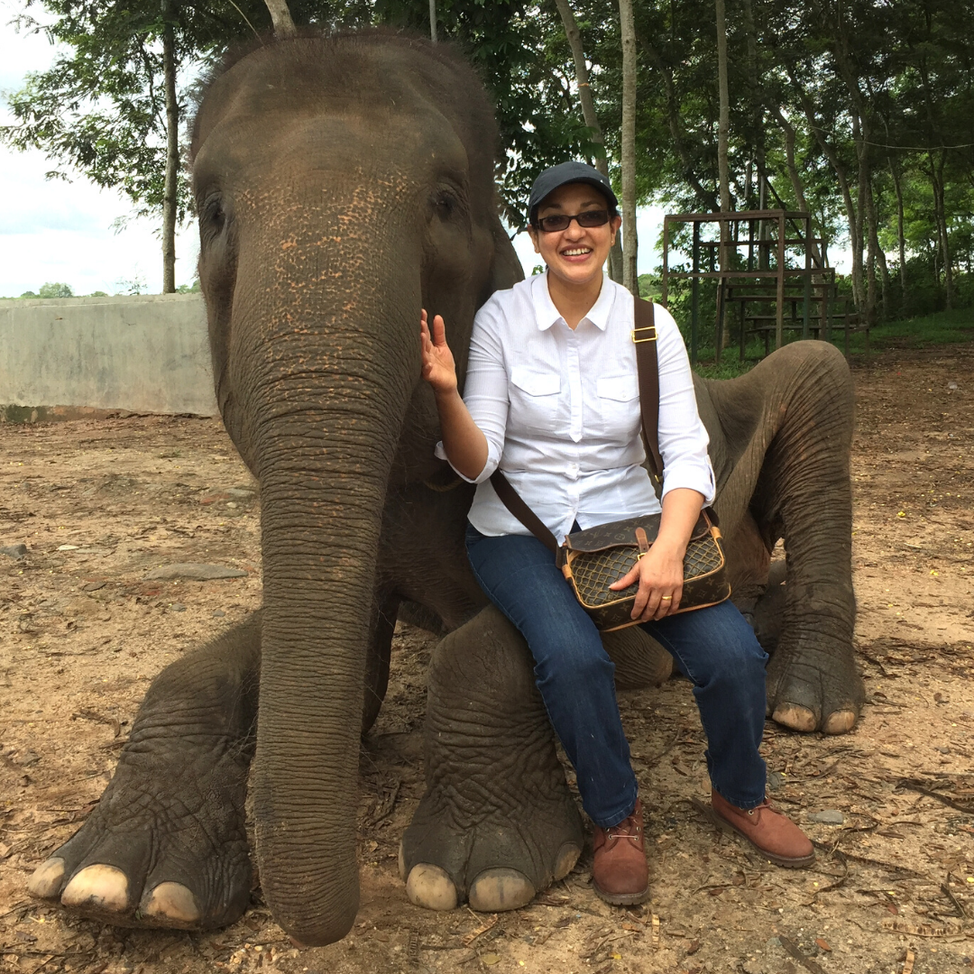 With over 100,000 forest seedlings planted as part of the #reforestation program, this will help foster new habitats in Way Kambas. 

Fun fact: Way Kambas is also home to elephants too!