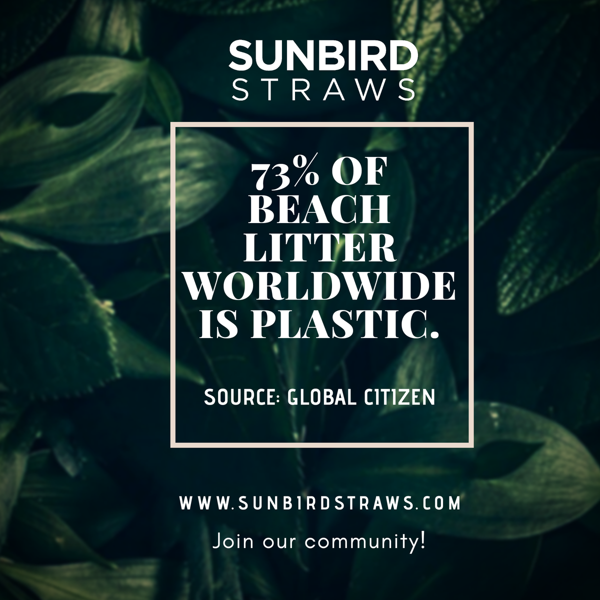 #biodegradable #coconuttleafstraws #drinkingstraws #ecofriendly #ecofriendlymaterials #ecofriendlyproducts #environmentallyfriendly #sustainability #circulareconomy #ruralemployment #womenempowerment #saveoceans