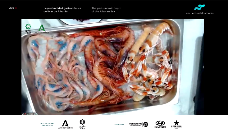 En la quisquilla lo importante es el tamaño. Si es grande será mucho más untuosa en boca, <a href="/JoseAlvarez_And/">Jose Alvarez</a> <a href="/rest_lacosta/">Restaurante La Costa</a> #EncuentrodelosMares #EdM2020 #GustodelSur <a href="/AndaluciaJunta/">Junta de Andalucía</a> <a href="/AgriculturAnd/">Consejería AgriPesca</a>