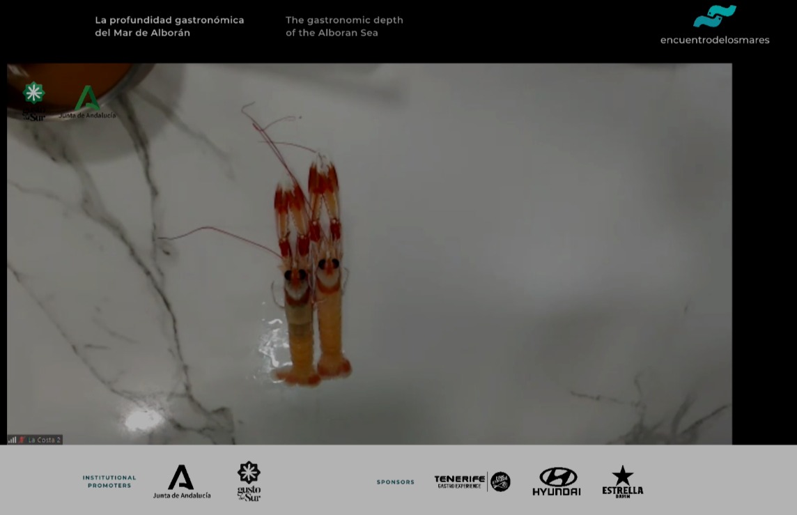 Cigalas, gamba roja y quisquillas de Huelva algunos de los productos que cocina <a href="/JoseAlvarez_And/">Jose Alvarez</a> <a href="/rest_lacosta/">Restaurante La Costa</a> #gustodelsur <a href="/AndaluciaJunta/">Junta de Andalucía</a> <a href="/AgriculturAnd/">Consejería AgriPesca</a> <a href="/uncomino/">Benjamín Lana</a>  #EncuentroDeLosMares