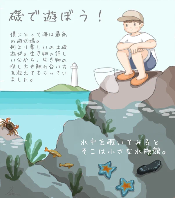 磯で遊ぼう! 