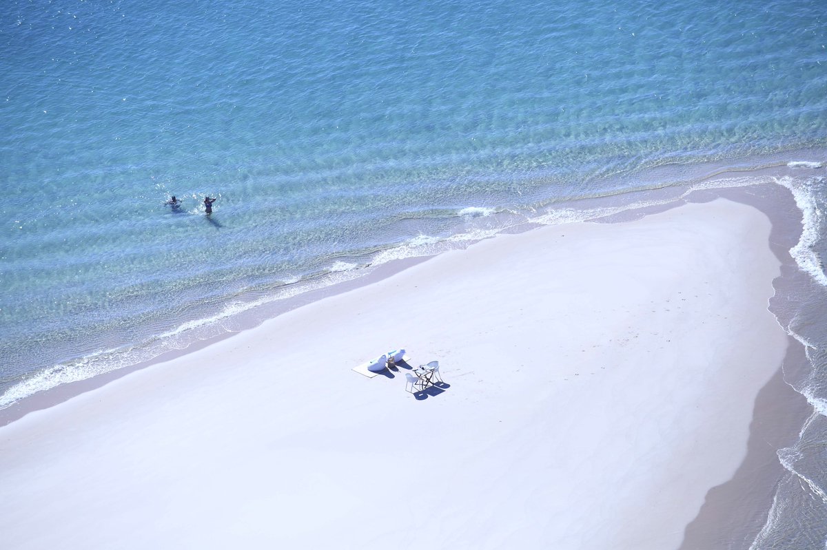 tailoredventure's tweet photo. Where do you want to go after lockdown? Imagine this beach picnic @azurabenguerra in Mozambique!!
#mozambique #azura #honeymoons #postcovid19 #romance #africatravel #southernafrica https://t.co/rV216CPjMx