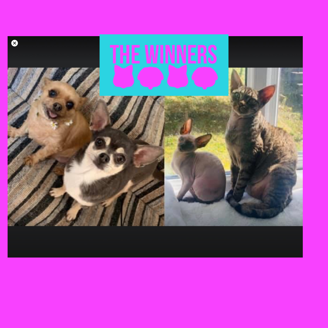 #MadeWithRipl via ripl.com