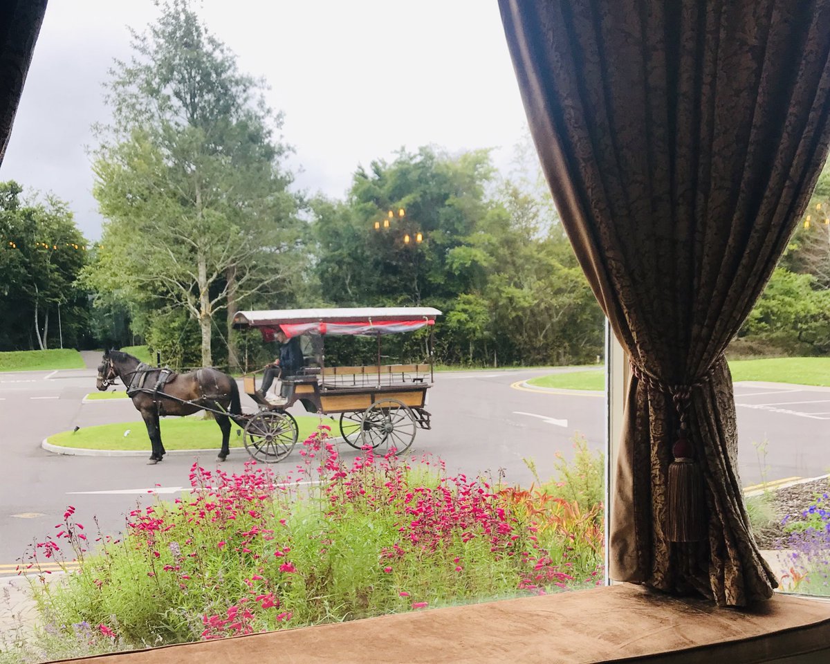 LakeHotel's tweet photo. Your carriage awaits...Some of our guests are embarking on a jaunting car tour today, the perfect way to explore Killarney National Park &amp; the surrounding areas. #lakehotelkillarney #surroundedbynature #jauntingcar #makeabreakforit #horseandcarriage @killarneytours https://t.co/YoRMWMIc24