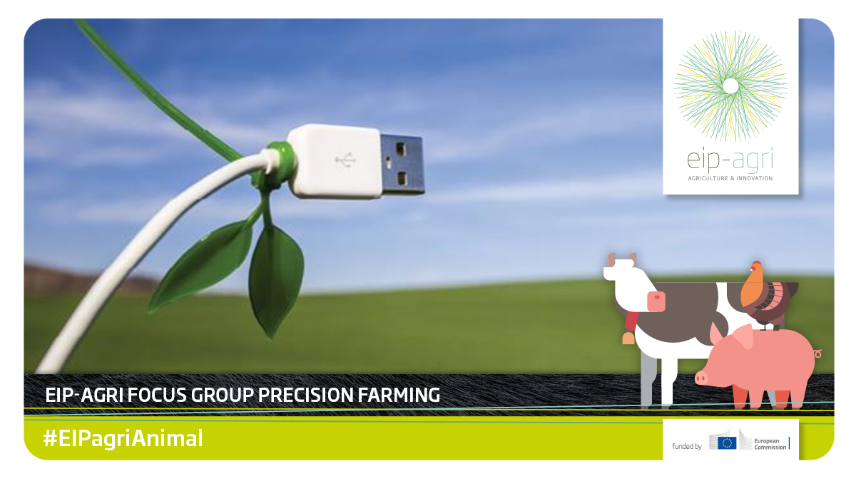 EIPAGRI_SP's tweet photo. The #SoundTalks #pig 🐷 cough monitor website system helps #farmers #veterinarians #researchers monitor the number of coughs that happen in their pig pens. Good way to supervise #animalhealth.

https://t.co/nRqBPH0IY8 

#EIPagriAnimal #animalwelfare https://t.co/lGmbPqrlOP