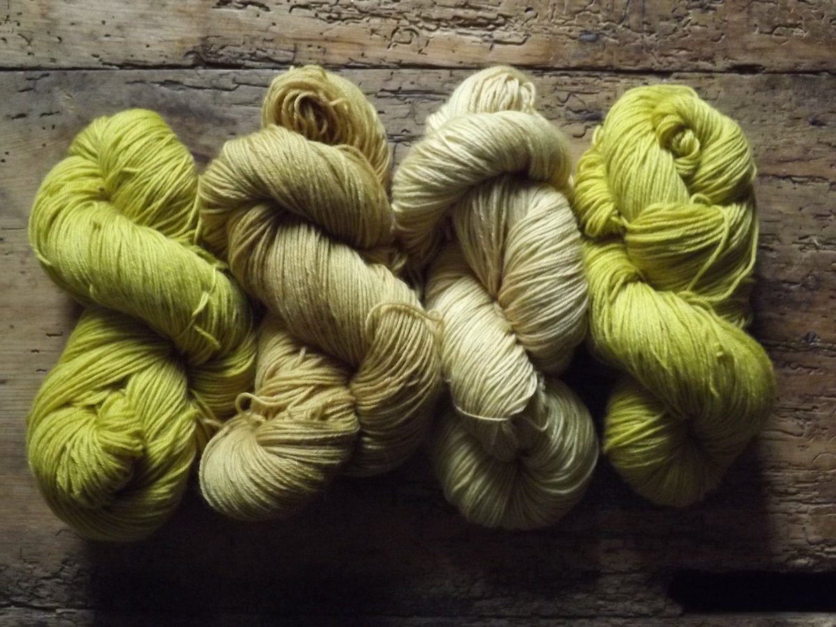 New Blog Post - Natural dyeing with Meadowsweet and Buddleia girlsownstore.co.uk/natural-dyeing…