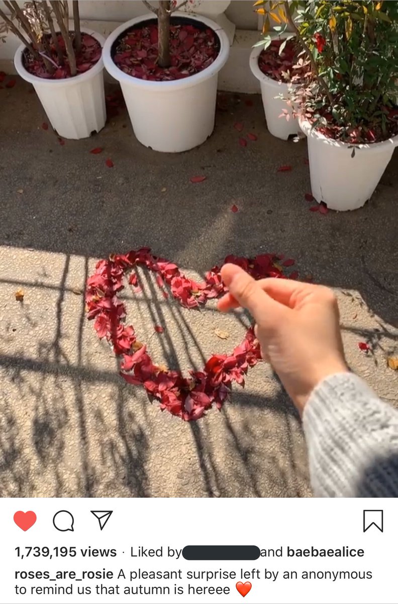 rosedailyupdate's tweet photo. ANONYMOUS Lisa to SOMEONE Lisa, real quick. 💜💛 

#ROSÉ #LISA #CHAELISA https://t.co/u75Egkew4c