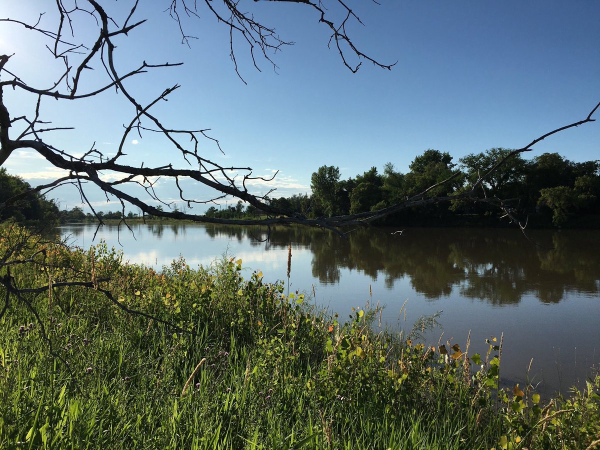 buddhaOno's tweet image. Last evening’s Adventures 
July13/20 my 📸
#Headingley #trainbridge #assiniboineRiver #sunset #owls #frogs #crayfish