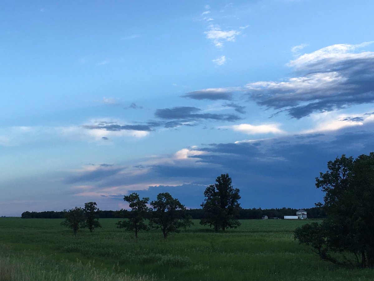 buddhaOno's tweet image. Last evening’s Adventures 
July13/20 my 📸
#Headingley #trainbridge #assiniboineRiver #sunset #owls #frogs #crayfish