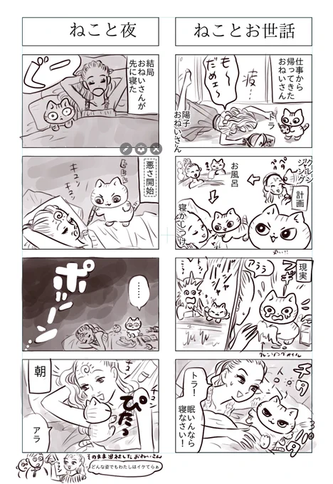 「トラと陽子」
ねことお世話
ねこと夜 