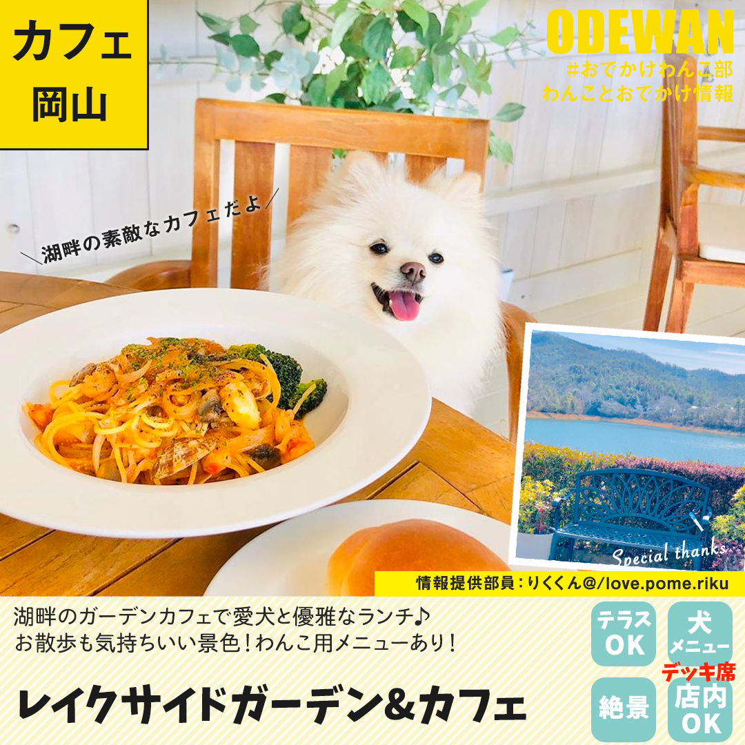 おでかけわんこ部 愛犬とのおでかけ情報 On Twitter レイクサイドガーデン カフェ に行ってきたよ りくくんから写真レポが届きました 岡山 わんこokカフェの詳細 Https T Co Fnoqkbkygh おでかけわんこ部 わんことお出かけ わんこok わんこokカフェ 犬部