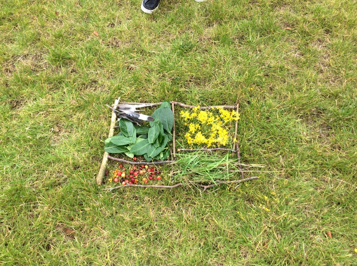 We created some beautiful environmental art  yesterday . <a href="/FoxHillLearning/">Fox Hill Learning</a>