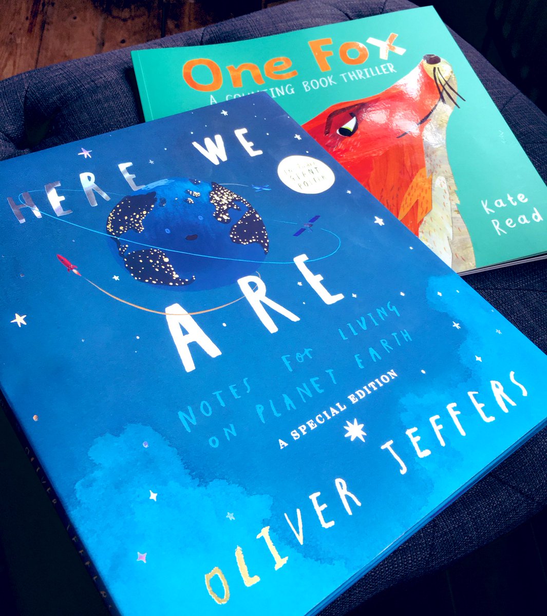 SadiePhillips's tweet photo. Took a break from packing and wandered down to the bookshop to spend my gift voucher! These two have been on my wishlist for a little while... 😍#readingforpleasure #hereweare #onefox @OpenUni_RfP https://t.co/P5lPDfnNrN