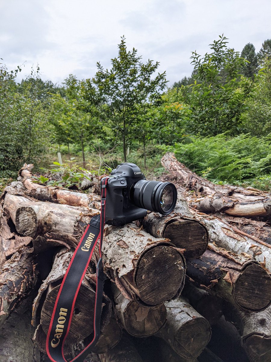 Charlotte Wright Photography tweet media