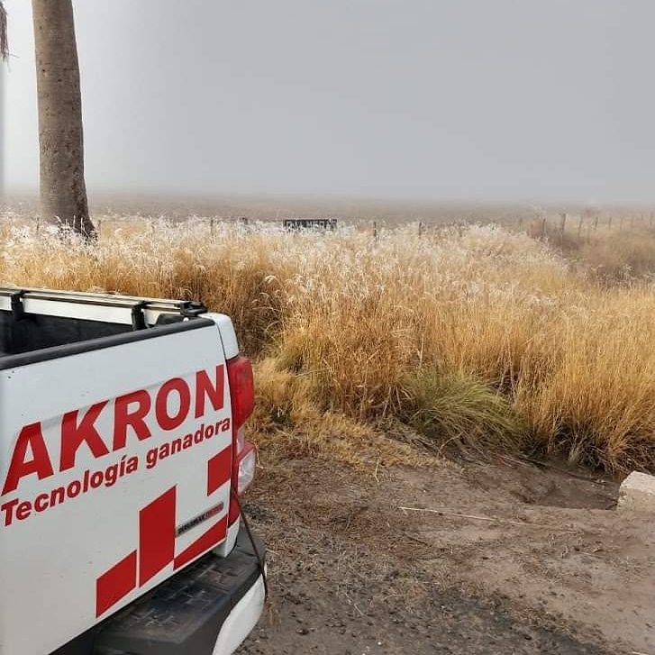 AKRONMaquinaria's tweet photo. #Arrancando el día con mucho frío❄️❄️🙂!!! #BuenMartes!!!

#AKRON #TecnologíaGanadora #NegociosImbatibles #AKRONizate #SiempreAKRON #AKRONenAcción #AKRONexport #Campo #CampoArgentino #Rural #MaquinariaAgrícola #Agricultura #Cosecha #Ganadería #Fertilización #Forraje #Farm https://t.co/Yo2vSNpf20