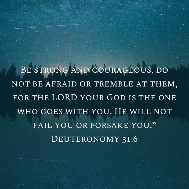 bible.com/100/deu.31.6.n…
