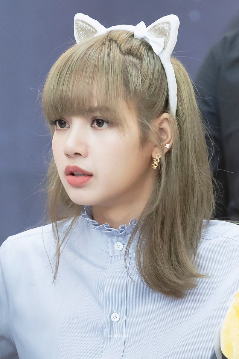 블랙핑크 리사 ㅠㅠㅠㅠ 새끼 고양이