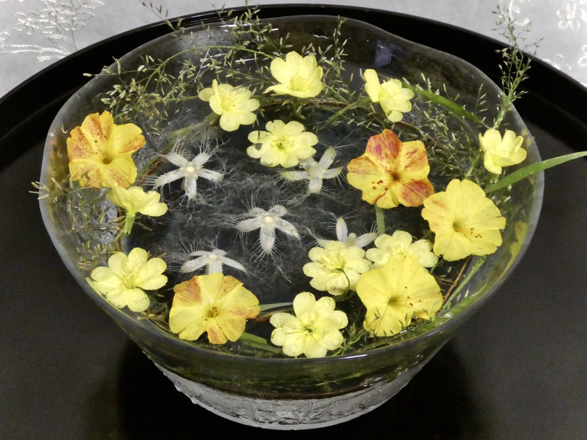 花好きバアさん 夜の花 林の縁のカラスウリ 今夜は暗くなってから花摘みに 林の斜面から垂れ下がったカラスウリの蔓 どんどん成長して 膝下の草むらで咲くようになった 5輪だけ摘んで 帰り道のオシロイバナと月見草も摘み帰る 夜に咲く花は 遠目